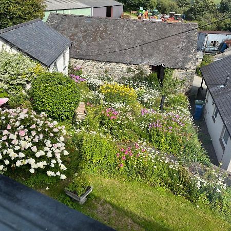 Staylittle Farm Долгеллау Экстерьер фото